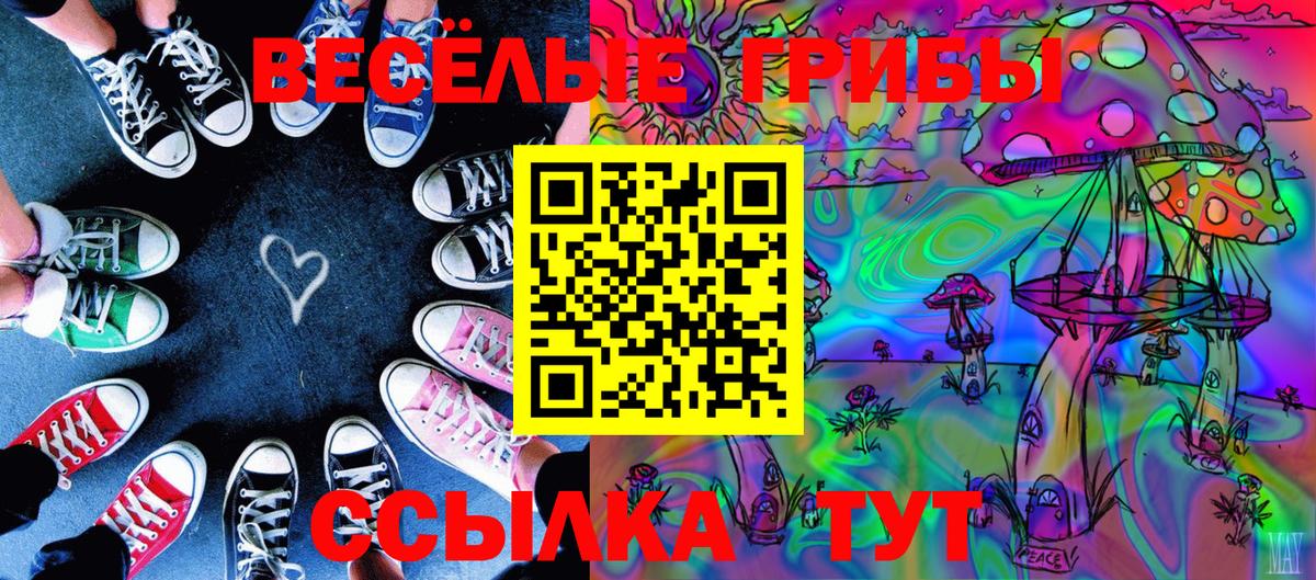 Галлюциногенные грибы Psilocybe  где купить   Качканар  Вход с VPN 