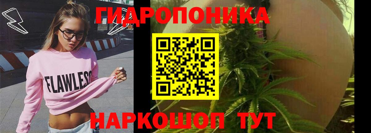 Конопля LSD WEED Качканар